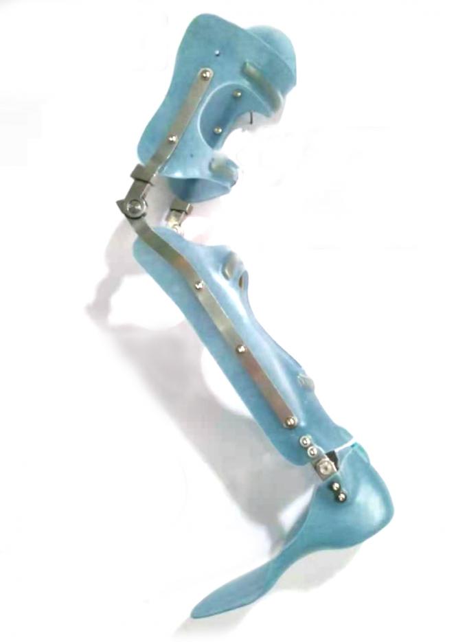 Adult 19mm Stainless Steel Orthotic Knee Joints , Drop Lock Knee Joint